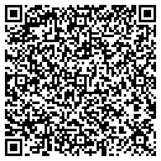 QR-код с контактной информацией организации Детский сад №55