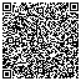 QR-код с контактной информацией организации "Близнецы"