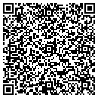 QR-код с контактной информацией организации Багира