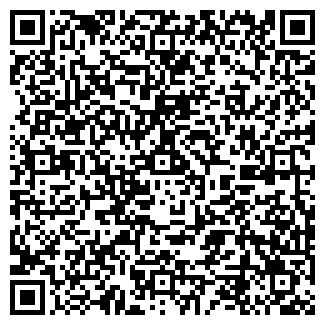 QR-код с контактной информацией организации "Платина"