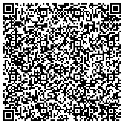 QR-код с контактной информацией организации Детская школа искусств «Созвездие»