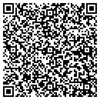 QR-код с контактной информацией организации Блиц