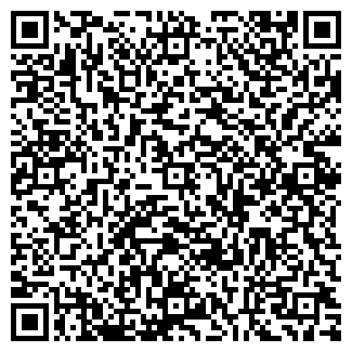 QR-код с контактной информацией организации Сеть киосков