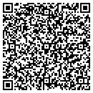 QR-код с контактной информацией организации Мустанг