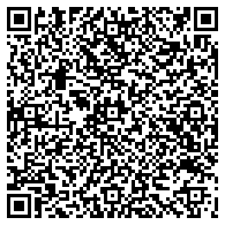 QR-код с контактной информацией организации ТОР ВМ