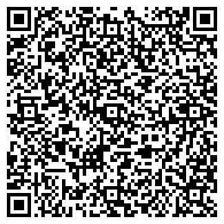 QR-код с контактной информацией организации Домовенок