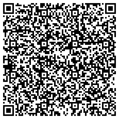 QR-код с контактной информацией организации Сказочный мир, оптовая компания, ИП Аладышев Д.И.