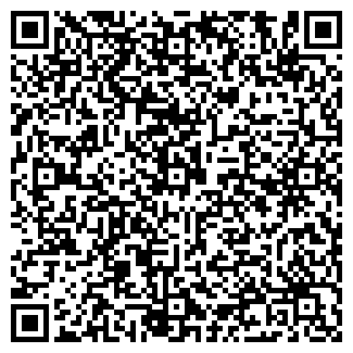 QR-код с контактной информацией организации ИП Писарева Н.В.