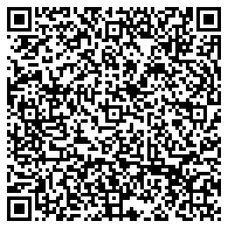 QR-код с контактной информацией организации ПУШИНКА ООО