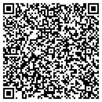 QR-код с контактной информацией организации ЗВЕЗДА