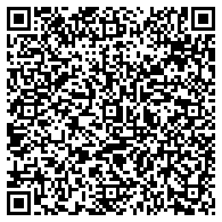 QR-код с контактной информацией организации ИП Чернышов С.Ю