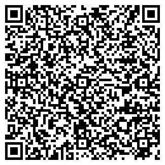 QR-код с контактной информацией организации Lady Диана