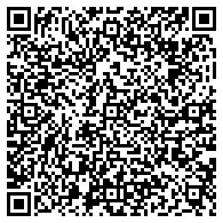 QR-код с контактной информацией организации Stizar