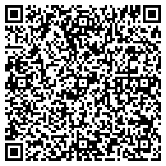 QR-код с контактной информацией организации Детский сад №117