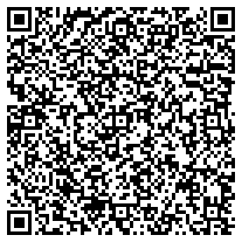 QR-код с контактной информацией организации ООО ЭЛЕМСИ