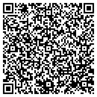 QR-код с контактной информацией организации Киоск по продаже мороженого