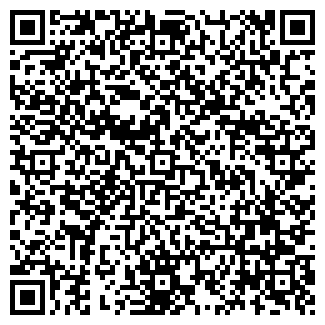 QR-код с контактной информацией организации Киоск по продаже мороженого