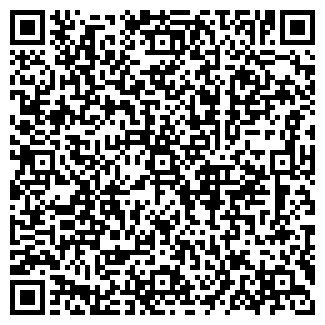 QR-код с контактной информацией организации ИП Базаева В.А.