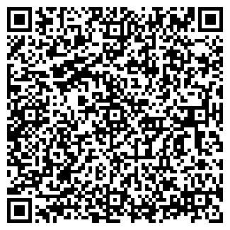 QR-код с контактной информацией организации ИП Базаева В.А.
