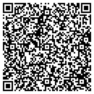 QR-код с контактной информацией организации Новинка, продуктовый магазин