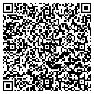 QR-код с контактной информацией организации Продуктовый магазин, ООО Алсу