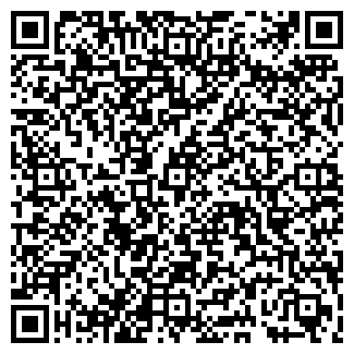 QR-код с контактной информацией организации Виконт, продуктовый магазин