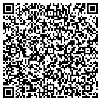 QR-код с контактной информацией организации ООО ЛМВ-Сервис
