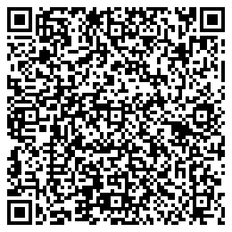 QR-код с контактной информацией организации КОЛИЗЕЙ