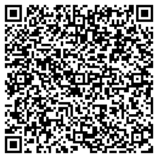 QR-код с контактной информацией организации Castro