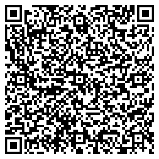 QR-код с контактной информацией организации ИП Жилин П.А.
