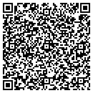 QR-код с контактной информацией организации «Деловые Линии»