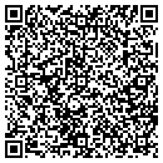 QR-код с контактной информацией организации Мойка Luxe