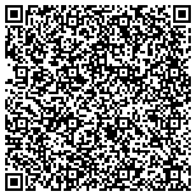 QR-код с контактной информацией организации ИП Светышева Л.А.