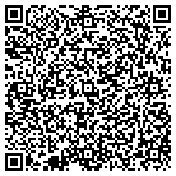 QR-код с контактной информацией организации Автостоянка на Гостилицкой, 2 лит В
