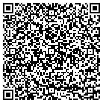 QR-код с контактной информацией организации ООО Северное сияние