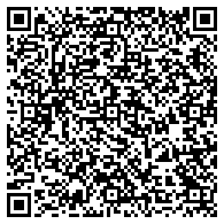 QR-код с контактной информацией организации ИП Савкин Н.Г.