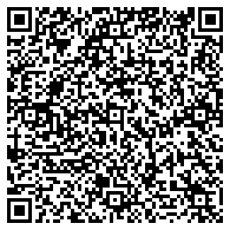QR-код с контактной информацией организации Мега-Блин