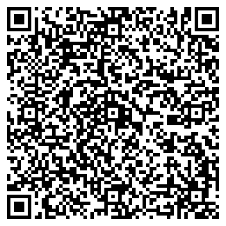 QR-код с контактной информацией организации "Камелот"