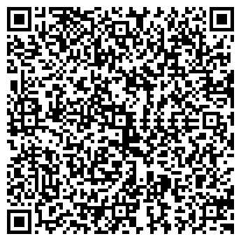 QR-код с контактной информацией организации Van Gogh