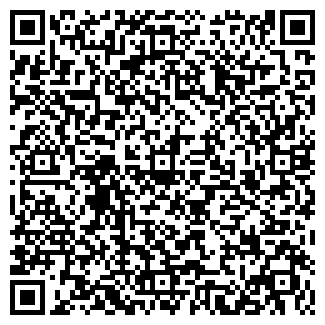 QR-код с контактной информацией организации ООО Ай-Ти Сервис