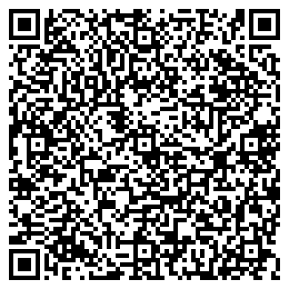 QR-код с контактной информацией организации Чехол 72