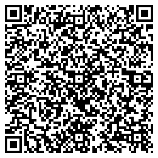 QR-код с контактной информацией организации Rmnt.ru