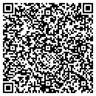 QR-код с контактной информацией организации Ромашкин