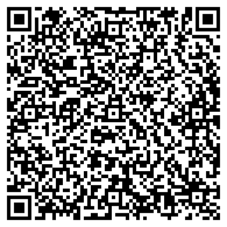 QR-код с контактной информацией организации Копейка