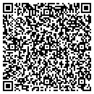 QR-код с контактной информацией организации Копейка