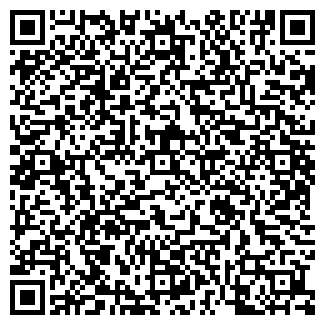 QR-код с контактной информацией организации Копейка