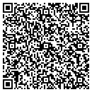QR-код с контактной информацией организации Домофон сервис