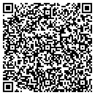 QR-код с контактной информацией организации РОМАШКА