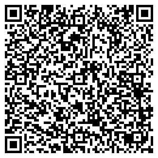 QR-код с контактной информацией организации ГЕОГАЗ, ООО