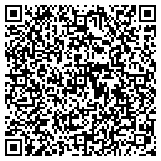 QR-код с контактной информацией организации Алло, Гараж